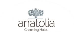 anatolia-logo